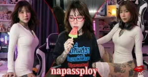 napassploy 31